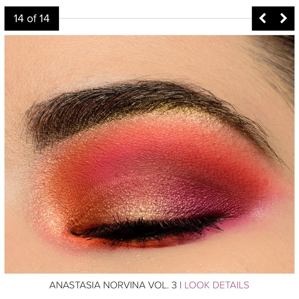 Anastasia Beverly Hills Norvina Vol 3 Pro Pigment Palette - Picture 14 of 15